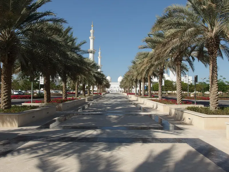 Palm-lined avenue at Sheikh Zayed Grand Mosque, Abu Dhabi